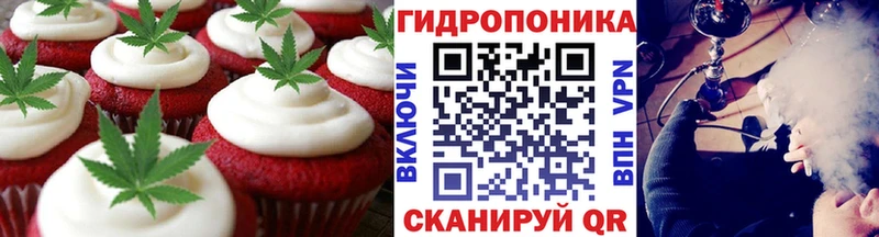 маркетплейс клад MEGA вход Томилино Cannafood конопля