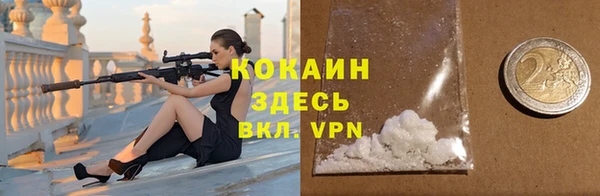 индика Кинешма