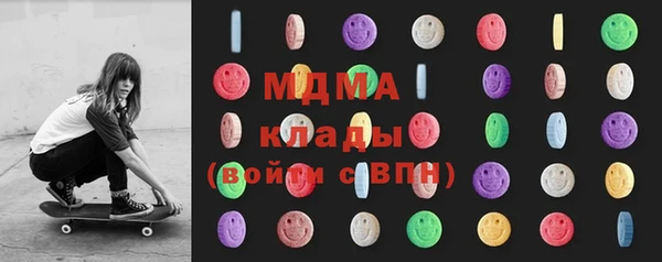 индика Кинешма