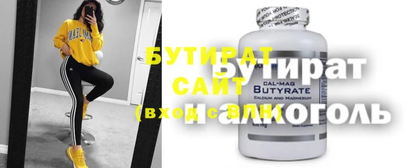 индика Кинешма