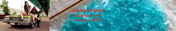 индика Кинешма