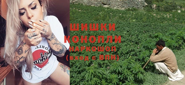 мет Касимов