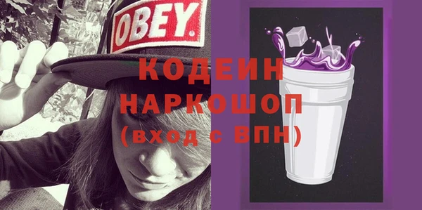 индика Кинешма