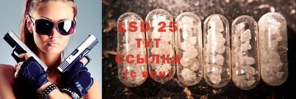 индика Кинешма
