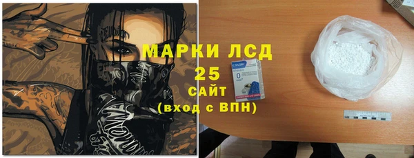 индика Кинешма