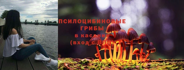 СК Карпинск