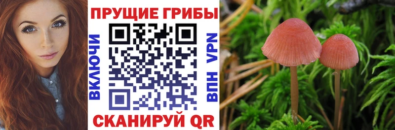 Псилоцибиновые грибы Magic Shrooms купить наркотик Томилино